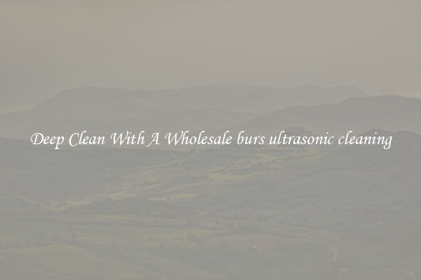 Deep Clean With A Wholesale burs ultrasonic cleaning