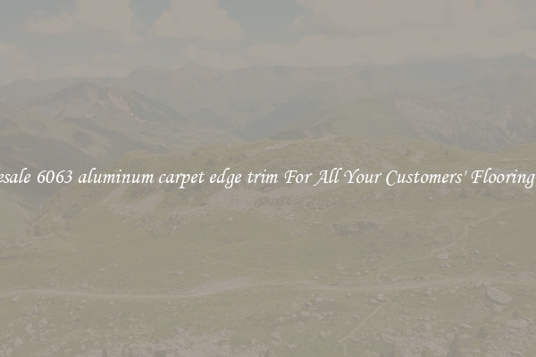 Wholesale 6063 aluminum carpet edge trim For All Your Customers' Flooring Needs