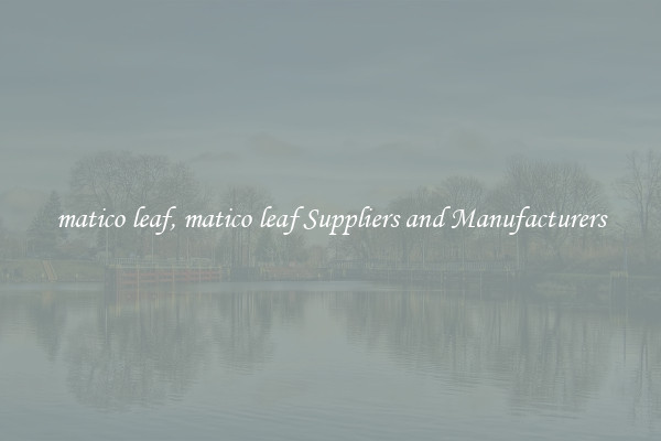 matico leaf, matico leaf Suppliers and Manufacturers