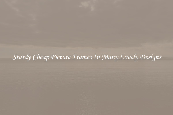 Sturdy Cheap Picture Frames In Many Lovely Designs