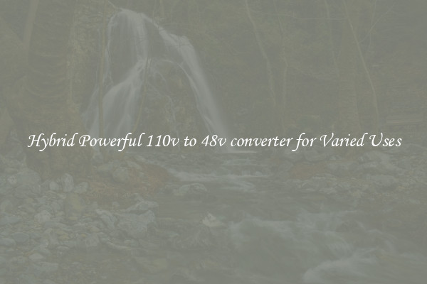 Hybrid Powerful 110v to 48v converter for Varied Uses