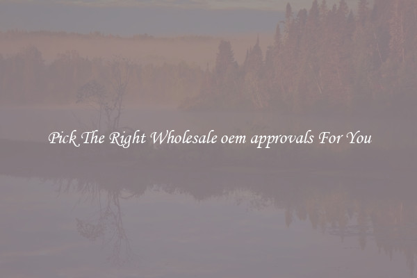 Pick The Right Wholesale oem approvals For You