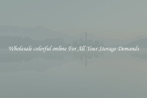 Wholesale colorful online For All Your Storage Demands