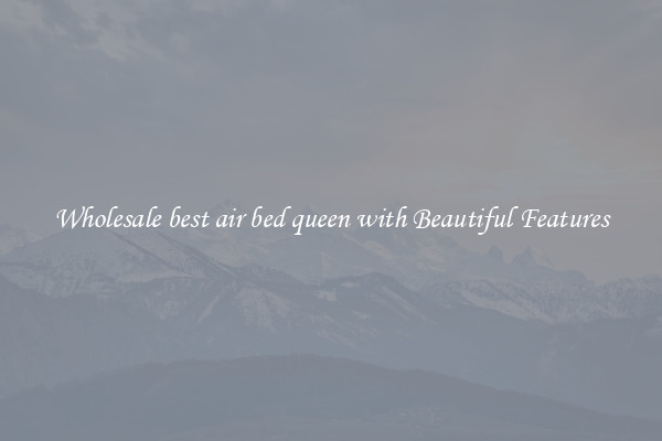 Wholesale best air bed queen with Beautiful Features