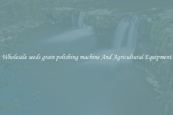Wholesale seeds grain polishing machine And Agricultural Equipment