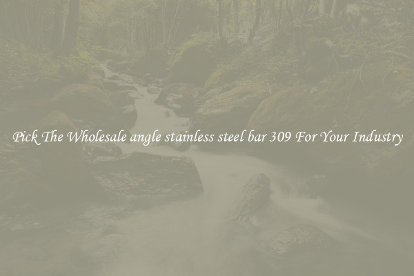 Pick The Wholesale angle stainless steel bar 309 For Your Industry