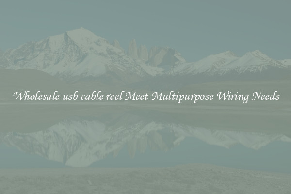Wholesale usb cable reel Meet Multipurpose Wiring Needs