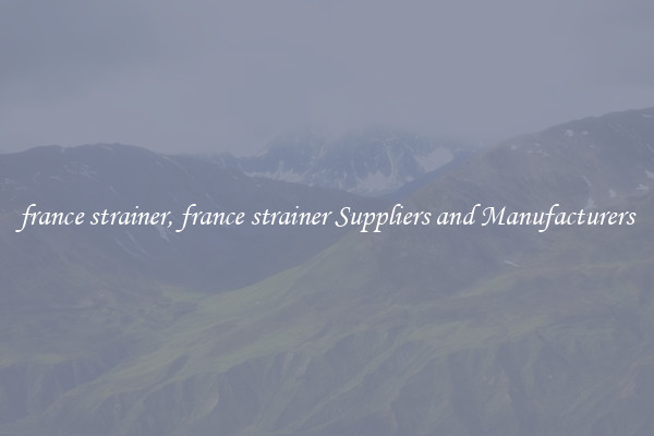france strainer, france strainer Suppliers and Manufacturers