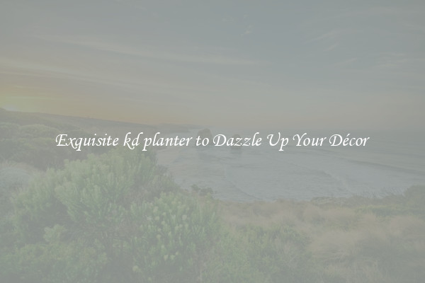Exquisite kd planter to Dazzle Up Your Décor 