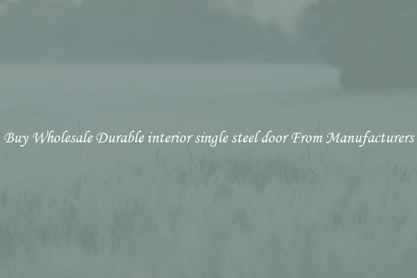 Buy Wholesale Durable interior single steel door From Manufacturers
